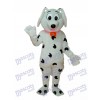 Sealy Potter Dog Mascot Adult Costume