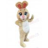 Easter Bunny Rabbit mascot costume