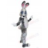 Easter Bunny Rabbit mascot costume