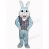Easter Bunny Rabbit mascot costume