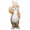 Easter Bunny Rabbit mascot costume