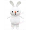 Easter Bunny Rabbit mascot costume