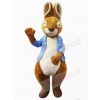 Easter Bunny Rabbit mascot costume