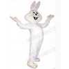 Easter Bunny Rabbit mascot costume