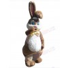 Easter Bunny Rabbit mascot costume