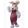 Easter Bunny Rabbit mascot costume