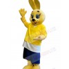 Easter Bunny Rabbit mascot costume