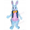 Easter Bunny Rabbit mascot costume