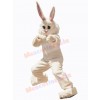 Easter Bunny Rabbit mascot costume
