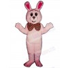 Easter Bunny Rabbit mascot costume