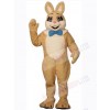 Easter Bunny Rabbit mascot costume