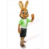 Easter Bunny Rabbit mascot costume