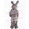 Easter Bunny Rabbit mascot costume