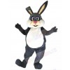 Easter Bunny Rabbit mascot costume
