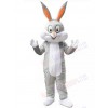 Easter Bunny Rabbit mascot costume