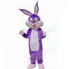 Easter Bunny Rabbit mascot costume