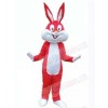 Easter Bunny Rabbit mascot costume