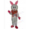 Easter Bunny Rabbit mascot costume