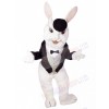 Easter Bunny Rabbit mascot costume