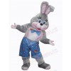 Easter Bunny Rabbit mascot costume