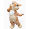 Easter Bunny Rabbit mascot costume