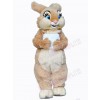 Easter Bunny Rabbit mascot costume