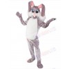 Easter Bunny Rabbit mascot costume