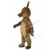 Kangaroo mascot costume