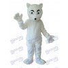 White Fox Mascot Adult Costume