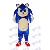 Blue Strange Fox Adult Mascot Costumes Animal