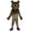 Grizzly Bear mascot costume