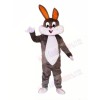 Cute Gray & White Rabbit Mascot Costumes