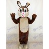 New Chocolate Easter Bunny Rabbit Mascot Costume