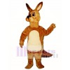 Cute Kangaroo Mascot Costume