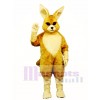 Skippy Kangaroo Roo Mascot Costume