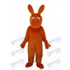 Little Kangaroo Mascot Adult Costume