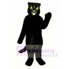 Black Panther Mascot Costume