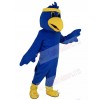 Falcon mascot costume