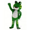 Cute Green Frog Mascot Costume