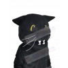 Panther mascot costume