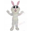 Easter Bunny mascot costume