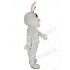 Easter Bunny mascot costume