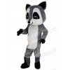 Raccoon mascot costume