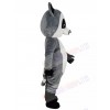 Raccoon mascot costume