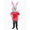 Easter Bunny Rabbit mascot costume