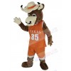 Longhorns Bull mascot costume