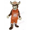 Longhorns Bull mascot costume