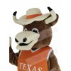 Longhorns Bull mascot costume