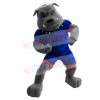 Bulldog mascot costume