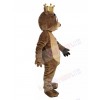 Bear mascot costume